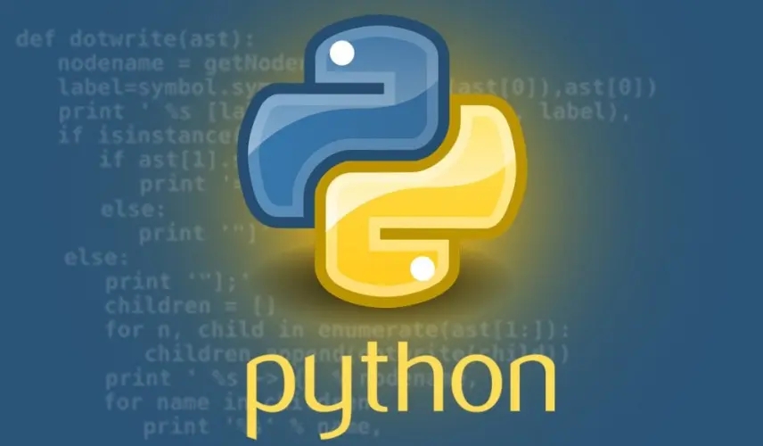 Choose The Premier Python Development Services Company
